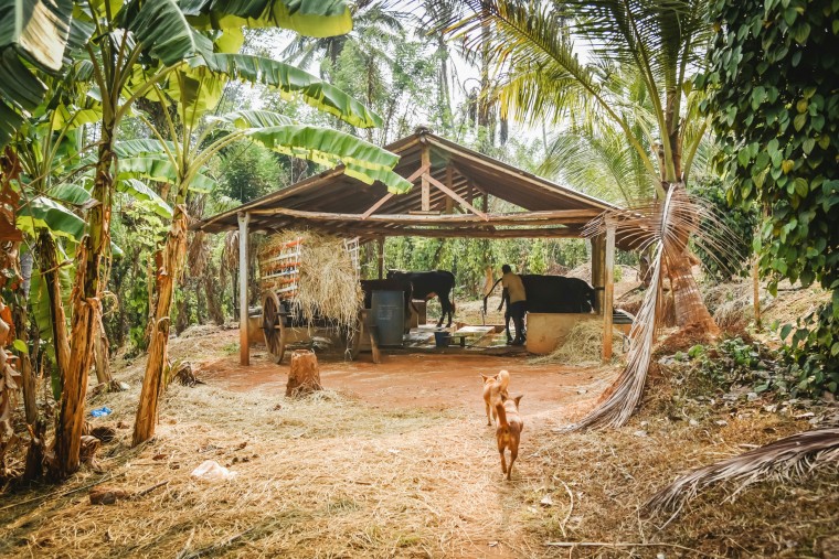 duurzaam-ondernemen-jimsfarm-sri-lanka-moderne-hippies-016