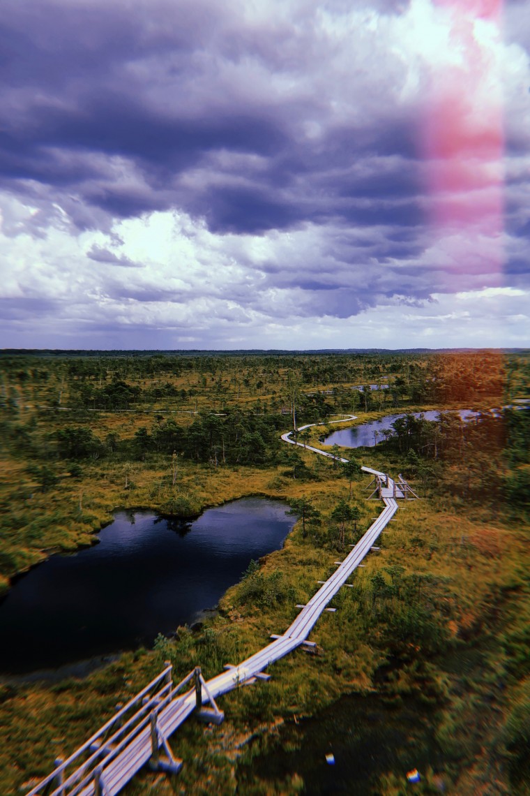 Latvia - Kemeri National Park Bog Boardwalk 2