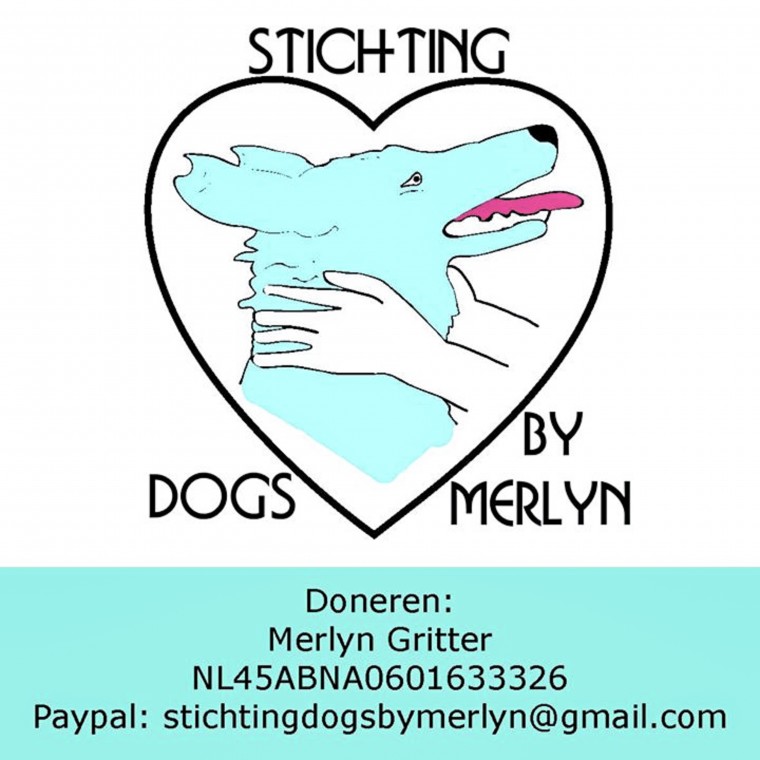 stichting dogs by merlyn x moderne hippies-1-30